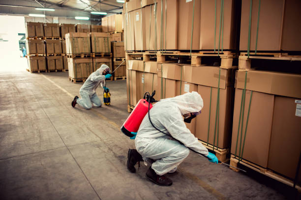 Best Pest Prevention Services  in Marlette, MI