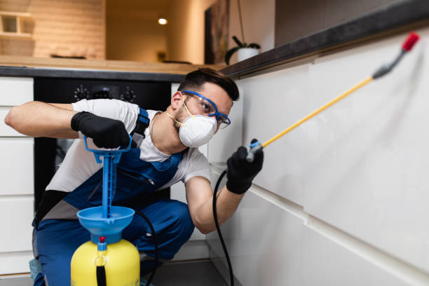 Wildlife Control Services in Marlette, MI