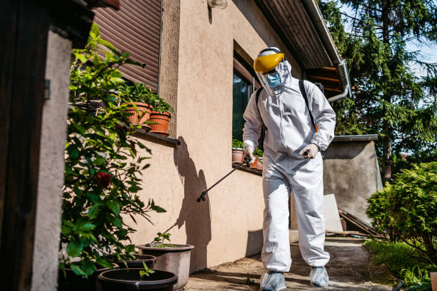 Best Flea Control Services  in Marlette, MI