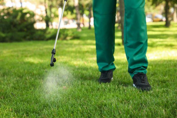 Best Pest Removal Services  in Marlette, MI