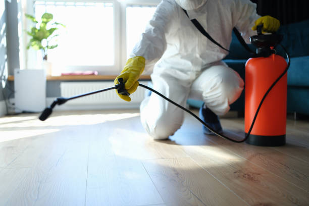 Best Affordable Pest Control Services  in Marlette, MI