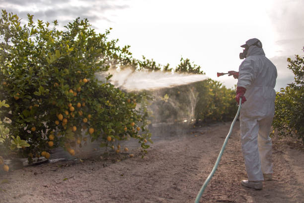 Best Cockroach Control Services  in Marlette, MI