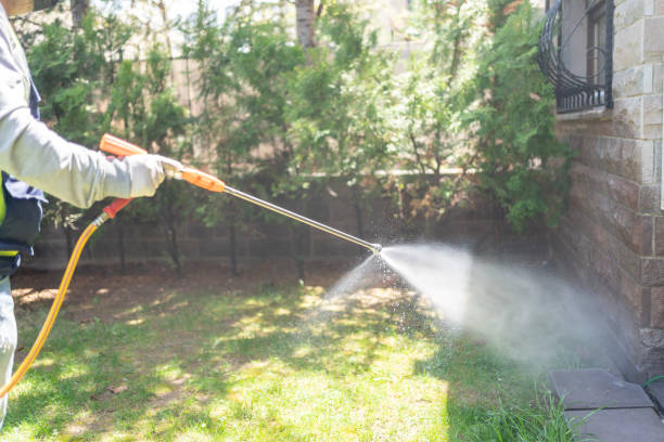 Best Termite Control Services  in Marlette, MI