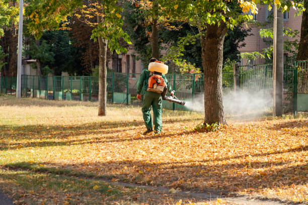 Best Best Pest Control Companies  in Marlette, MI