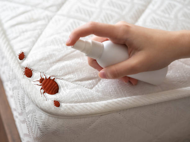  Marlette, MI Pest Control Pros