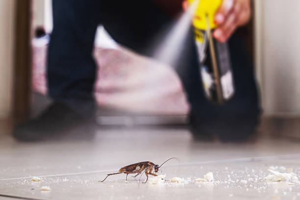 Best Pest Inspection Near Me  in Marlette, MI