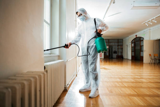 Best Bed Bug Extermination  in Marlette, MI