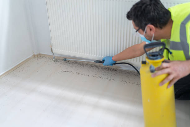 Professional Pest Control in Marlette, MI