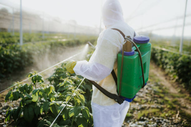 Best Best Pest Control Companies  in Marlette, MI